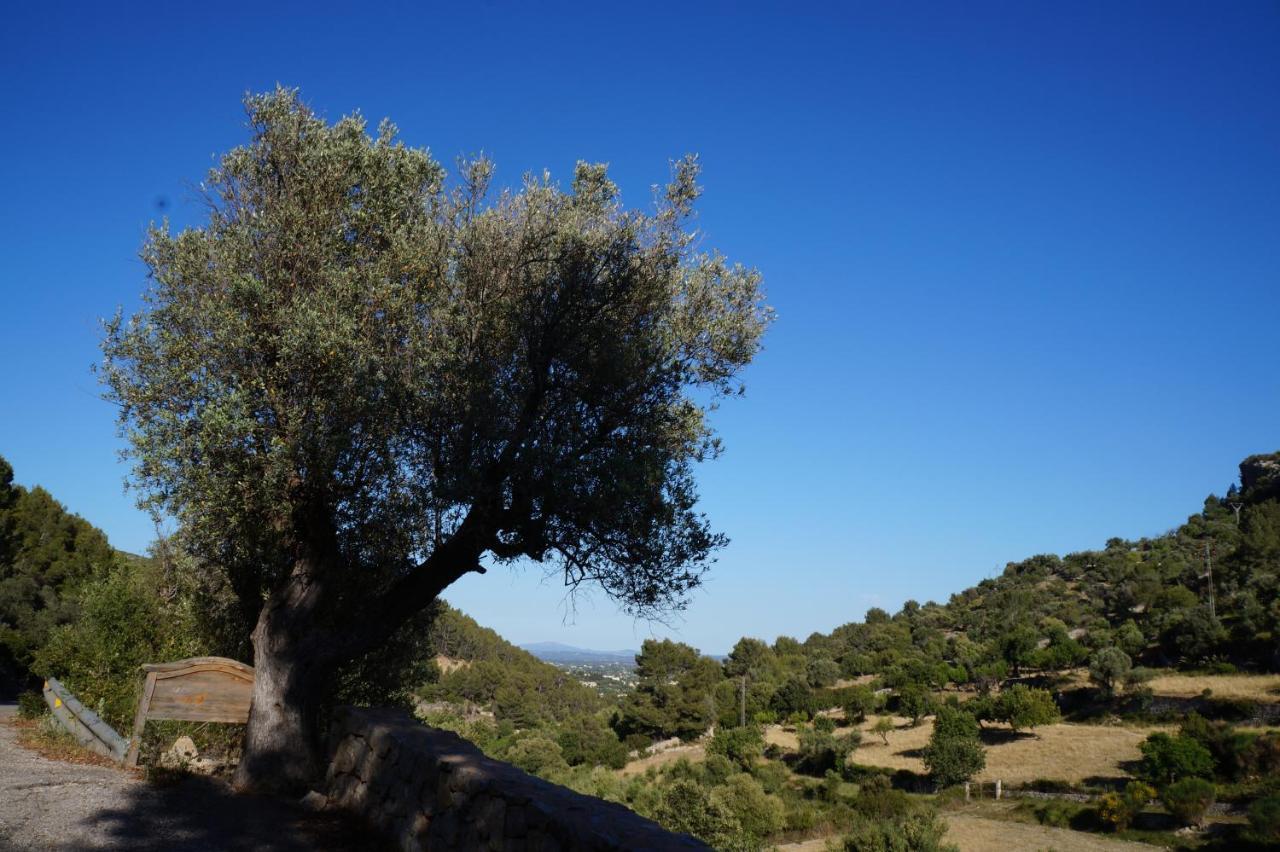 Agroturismo Finca Can Sec, Sl Lloseta Dış mekan fotoğraf